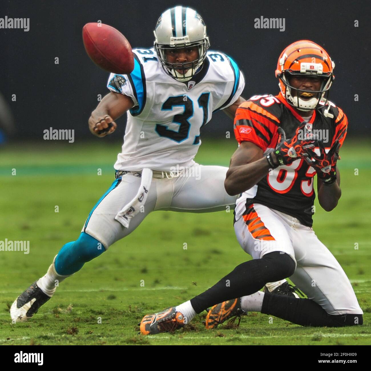 Cincinnati Bengals wide receiver Chad Ochocinco (85) makes a nice catch in  practice from Georgetown College in Georgetown Ky. (Credit Image: © Wayne  Litmer/Southcreek Global/ZUMApress.com Stock Photo - Alamy