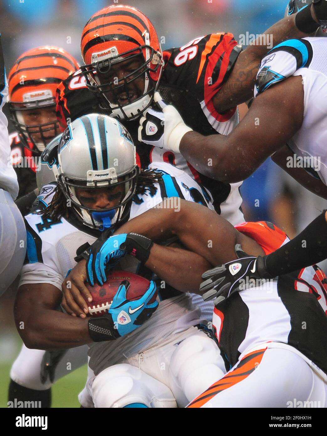 Cincinnati Bengals linebacker Rey Maualuga in action during practice at NFL  football training camp, Wednesday, Aug. 10, 2011 in Georgetown, Ky. (AP  Photo/Al Behrman Stock Photo - Alamy