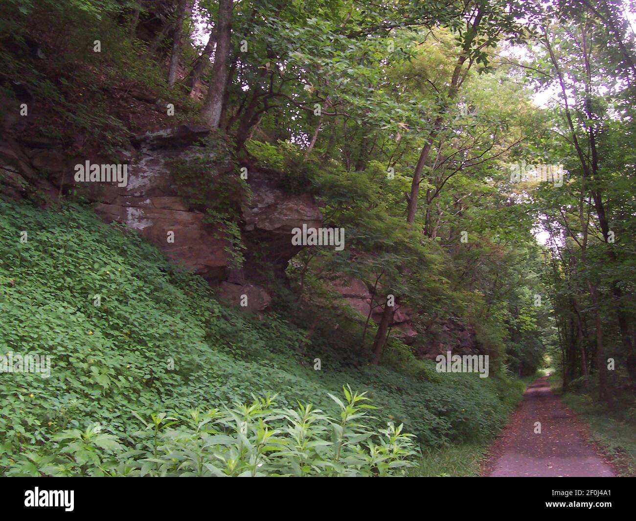 The Allegheny Highlands Trail follows the route of the old West