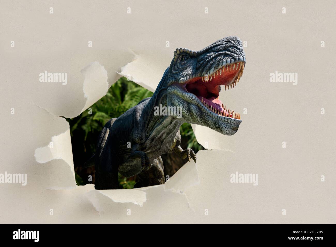 Closeup view of an angry T-Rex dinosaur figurine climbs out of torn paper. Monstrous animal with open mouth and sharp teeth Stock Photo