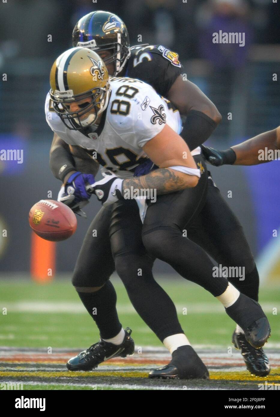 Saints tight end Jeremy Shockey (88) celebrates a touchdown. The New  Orleans Saints defeated the Detroit Lions 45-27 in the matchup held at the  Louisiana Superdome in New Orleans, LA. (Credit Image: ©