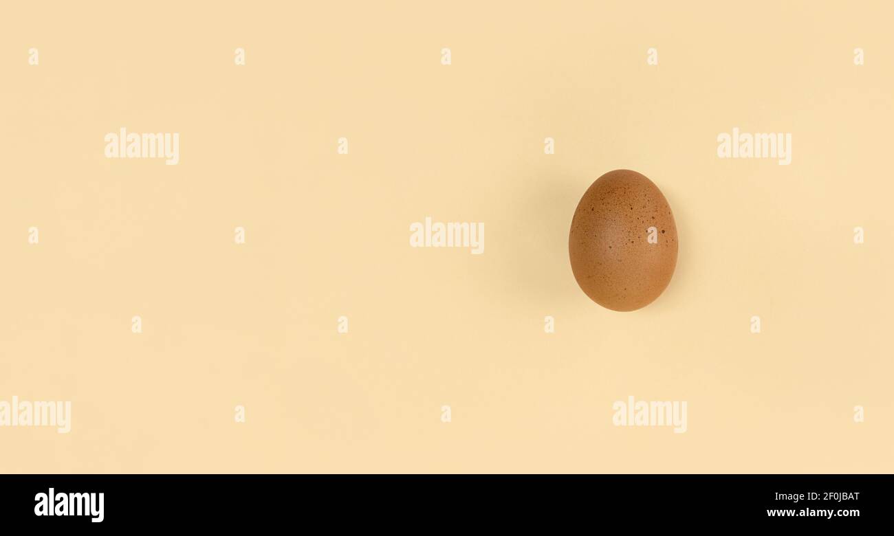 Brown egg on beige backdrop with copy space Stock Photo - Alamy
