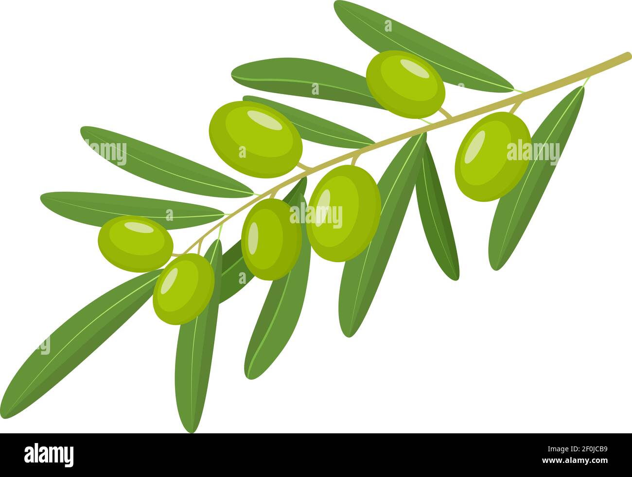 Green Olives Branch Stock Vector Image & Art - Alamy