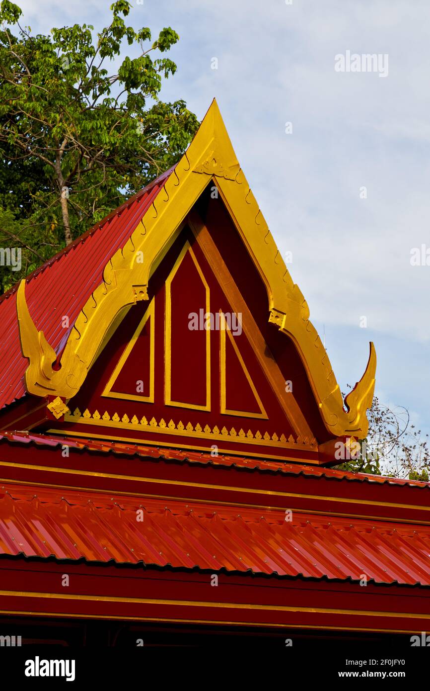 Bangkok the temple thailand abstract plant Stock Photo - Alamy