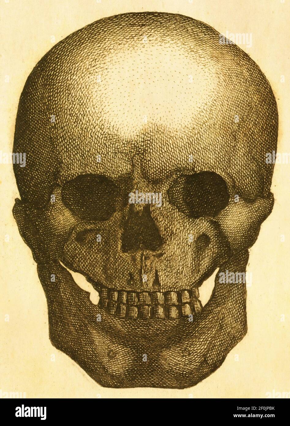 19th-century illustration of a prehistoric human skull. Published in Systematischer Bilder-Atlas zum Conversations-Lexikon, Ikonographische Encyklopae Stock Photo