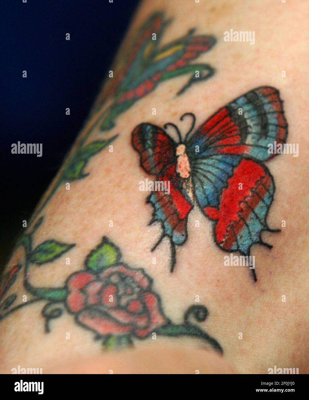 Tattoo artist Sheila Whited added this butterfly to the right arm of Leslie  Wilhelm in Akron, Ohio, on April 28, 2010. (Photo by Ed Suba Jr./Akron  Beacon Journal/MCT/Sipa USA Stock Photo -