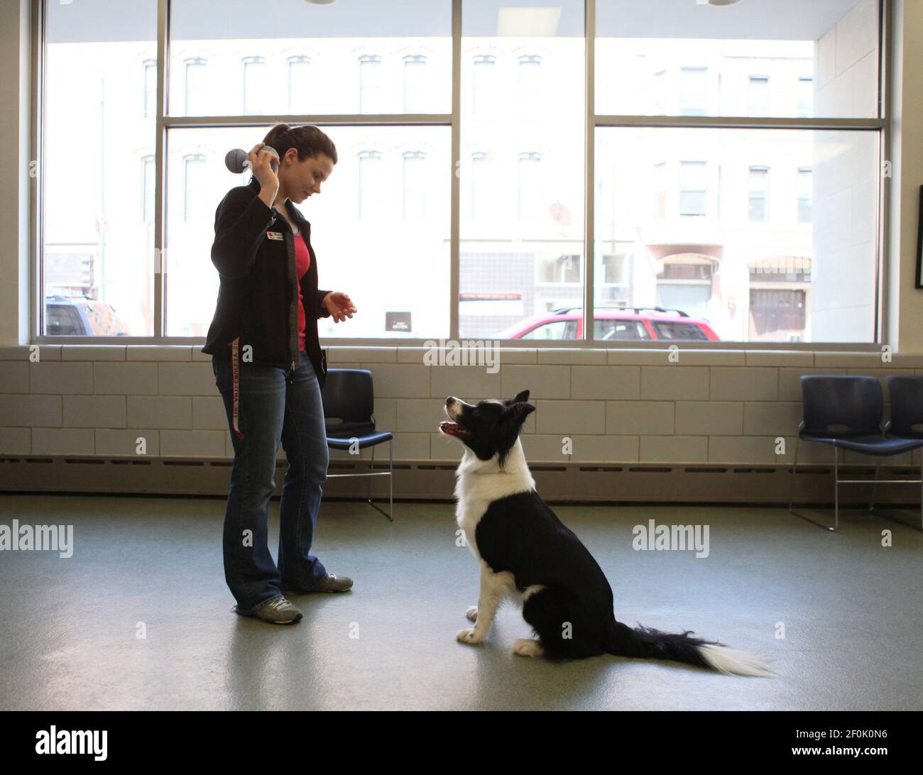 Amanda Kowalski, left, Animal Behavior and Braining Assistant at the Anti- Cruelty Society in Chicago, takes "Baxter," a border collie mix with a barking problem, out of his cage, April 14, 2010, for Amanda Kowalski, left, Animal Behavior and Braining Assistant at the Anti- Cruelty Society in Chicago, takes "Baxter," a border collie mix with a barking problem, out of his cage, April 14, 2010, for
