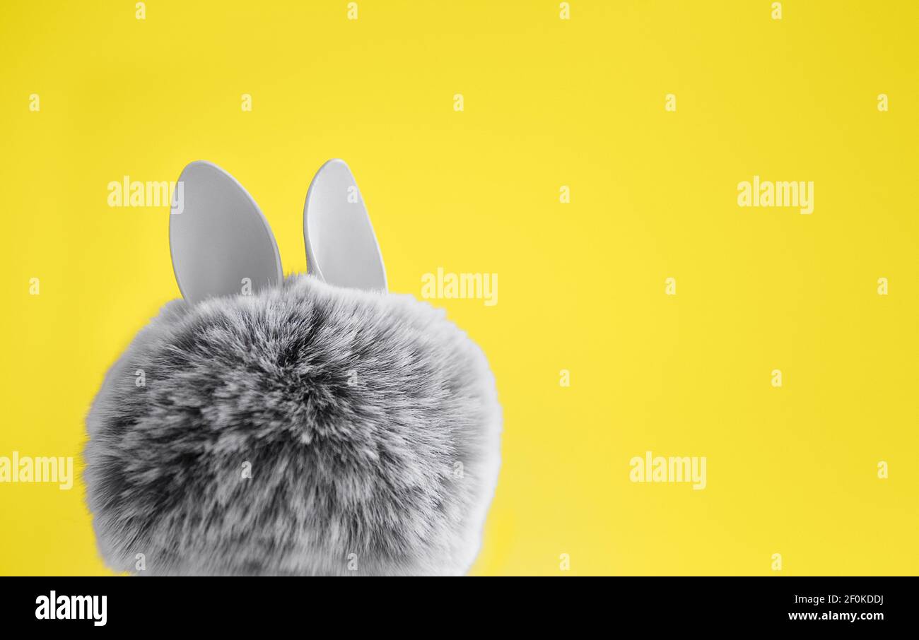 Fur ball with bunny rabbit ears on bright background. Visualization trendy  colors of year 2021 - Gray and Yellow. Close-up Stock Photo - Alamy