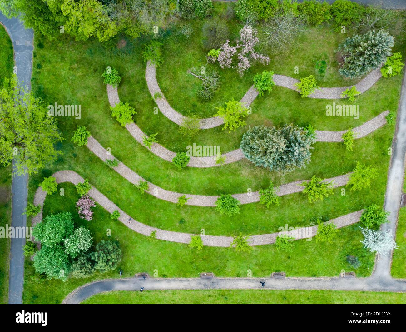 Aerial top down view to small green square with young cherry trees ...
