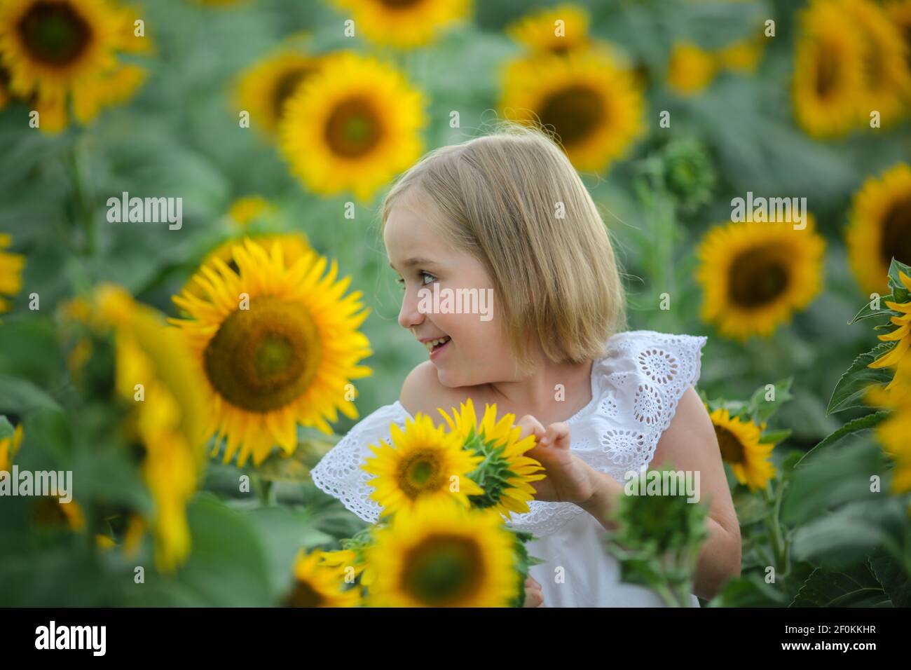Beautiful little girl in white dress in a summer sunflower colorful ...