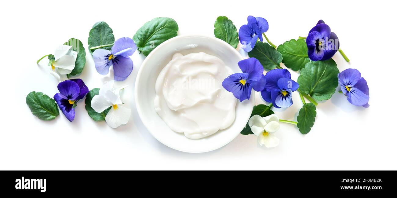 Purple blue and white violet flowers (viola) around a bowl of natural cosmetic ointment isolated on a white background, panoramic format, high angle v Stock Photo