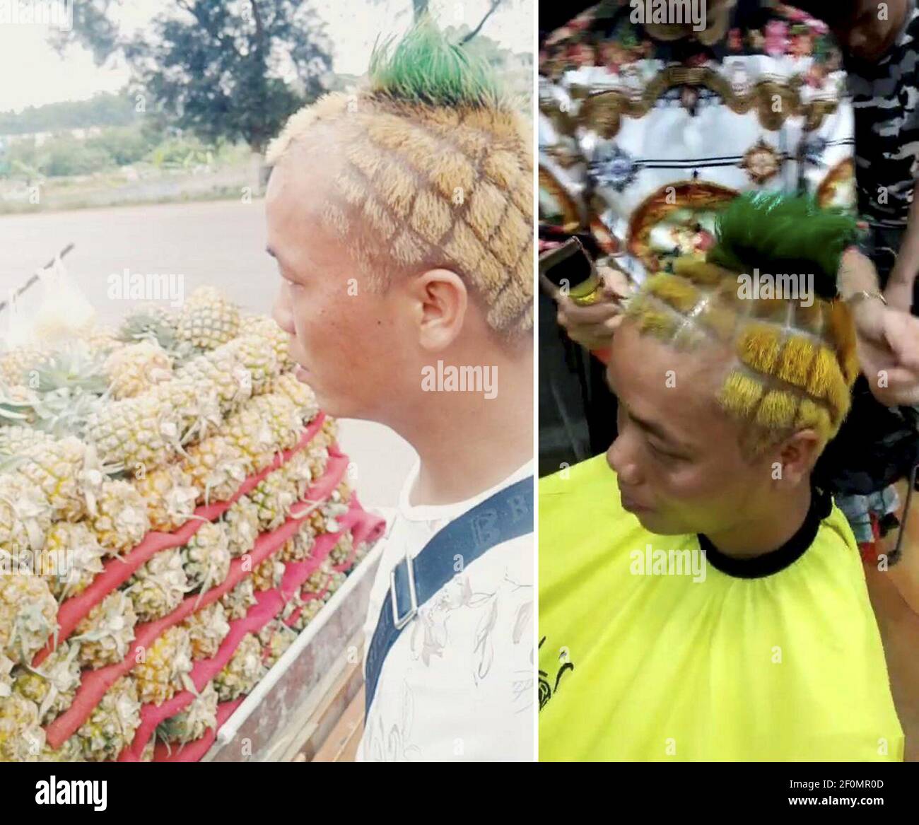 In this undated and composite photo, Chinese man Su Changfeng with pineapple-shaped hair sells pineapples on a road, left, and has his hair cut at a barber shop in Nanning city, south China's Guangxi Zhuang Autonomous Region. A Chinese man cut his hair in the shape of a pineapple to help sell his pineapple in Nanning city, south China's Guangxi Zhuang Autonomous Region. The man named Su Changfeng started selling pineapples six years ago. He went viral on the Internet through his pineapple-shaped hair. (Photo by Yi fang - Imaginechina/Sipa USA) Stock Photo