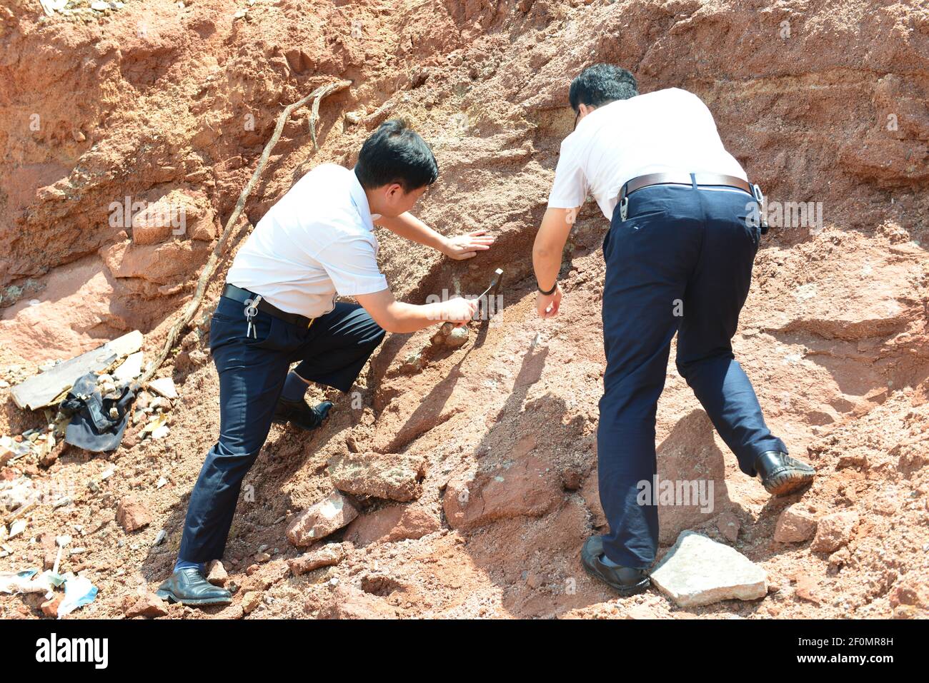 In this undated photo, Chinese archaeologists unearth 65 million year old dinosaur egg fossils with the help of primary school student Zhang Yangzhe near the construction site of a new bridge in Heyuan city, south China's Guangdong province. A primary school student walking with his mother near a construction site discovered a 65 million year old dinosaur egg that then led experts to uncover a nest of 10 others in south China. The rare discovery in Heyuan, Guangdong Province was made by Zhang Yangzhe who spotted the egg in the side of a bluff that had been excavated during the construction of  Stock Photo
