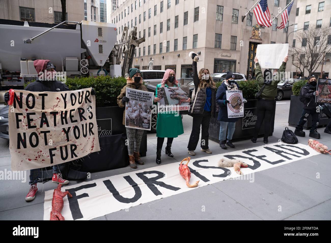 Activists hold placards during the demonstration.Animal rights activists  held a peaceful protest in front of Saks Fifth Avenue. Protest against the Canada  goose brand specifically, which this retailer sells. Protesters called on