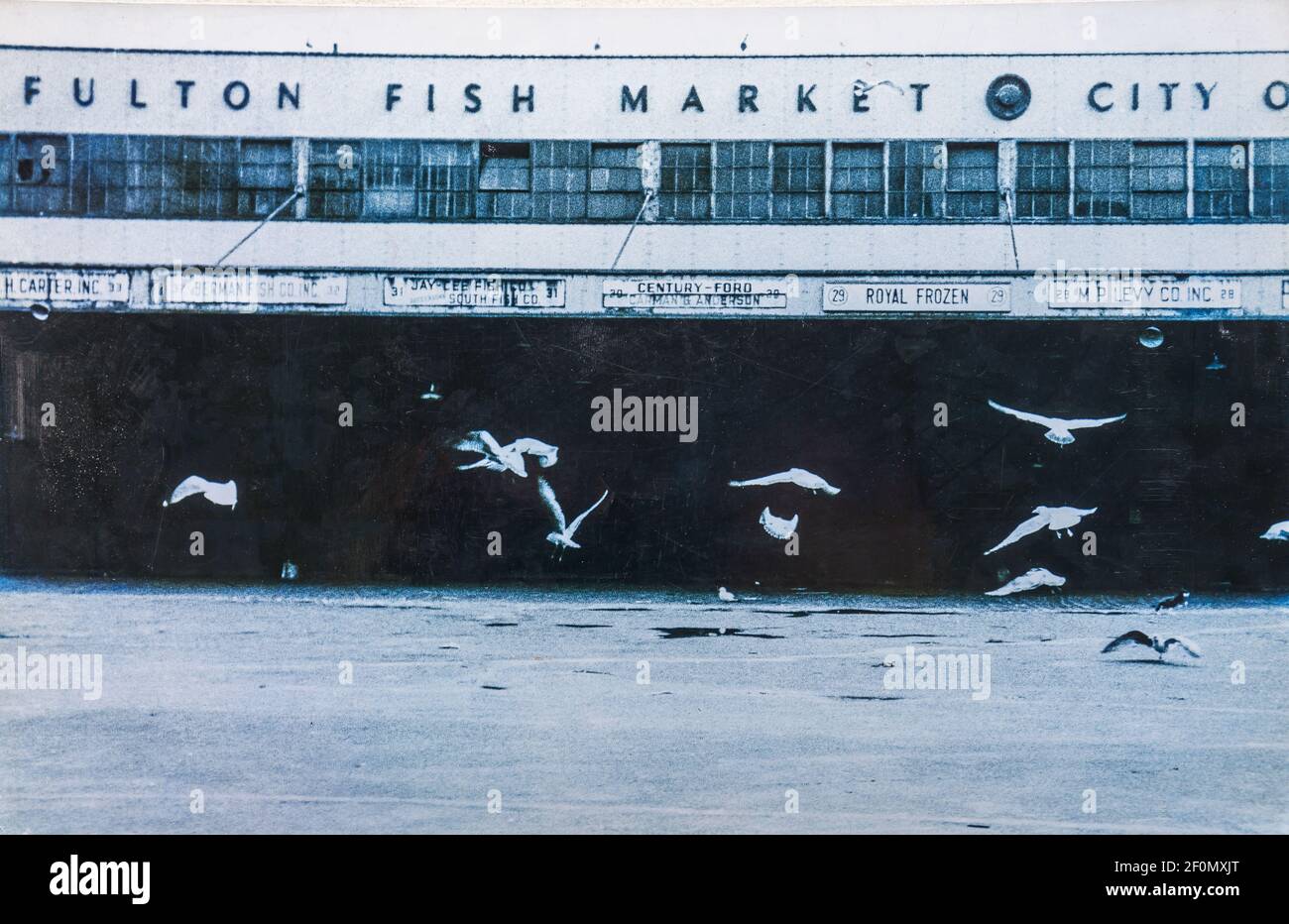 The former Fulton Fish Market Tin Building in Lower Manhattan is seen