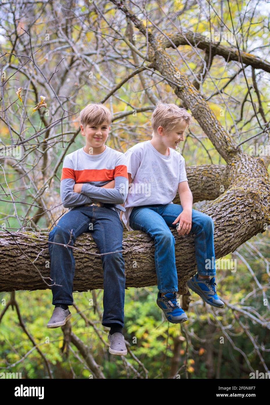 Two young boys sitting on a tree branch in the woods Stock Photo Alamy