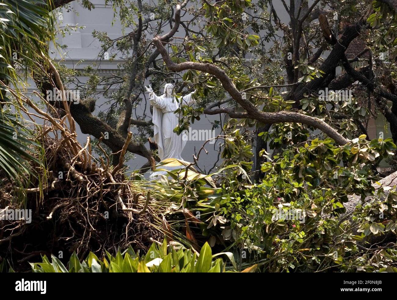 8 Sept 2005 New Orleans, LA Hurricane Katrina aftermath. New