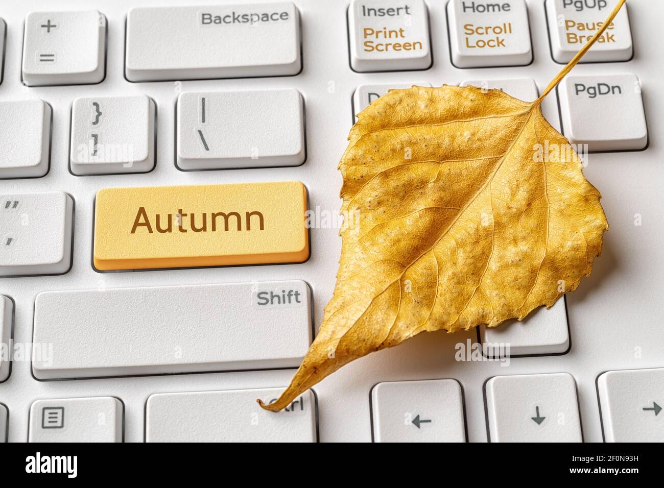 Yellow key with Autumn word and fallen leaf on a white pc keyboard. Autumn sales, holidays, school and working season concepts. Message on enter key. Stock Photo