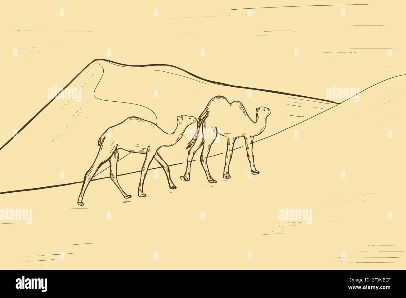 A simple sketch of camels in the desert. Freehand sketch of two camels.  Vector Stock Vector Image & Art - Alamy
