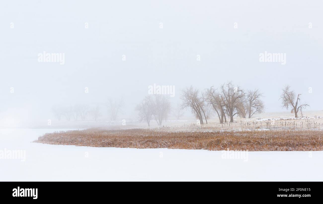Iced over pond covered in fog on winter morning Stock Photo