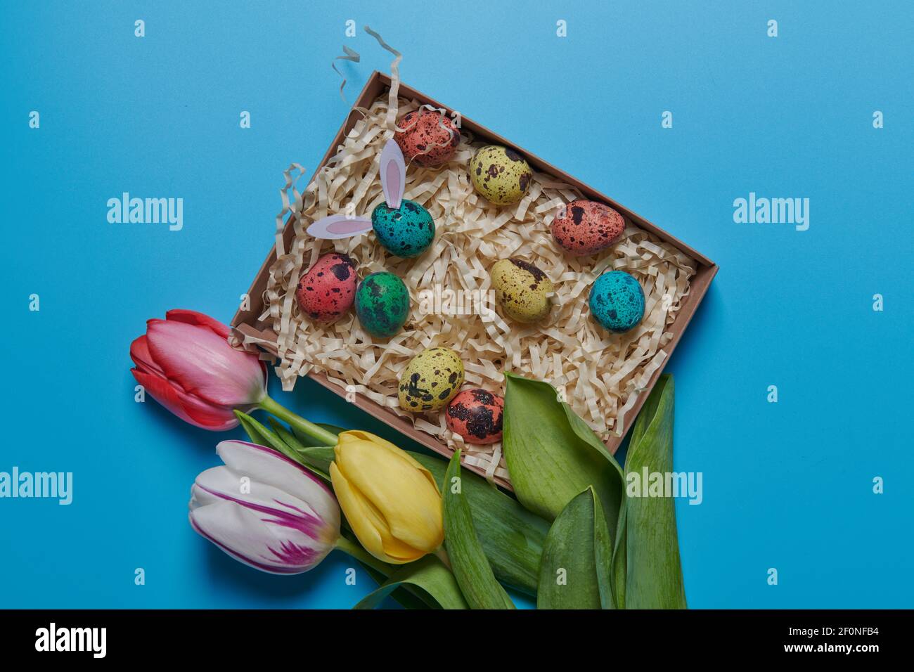 colored eggs in a box and colored flowers tulips Stock Photo