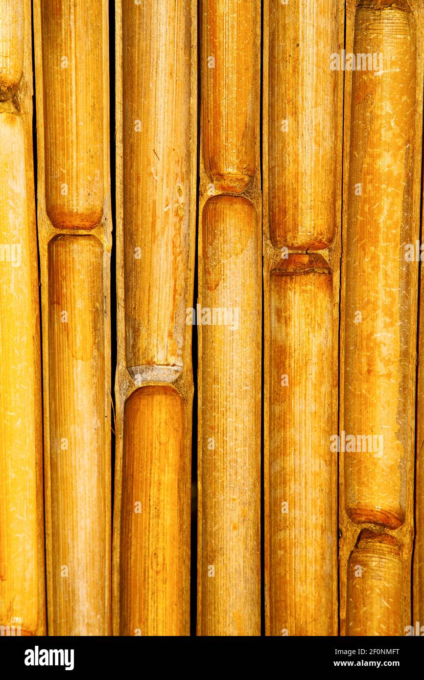Cross bamboo in the temple kho phangan bay asia and south Stock Photo ...