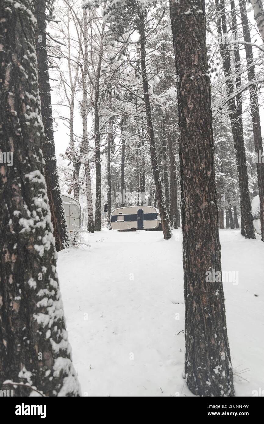 Camper van in pine forest covered with snow at cold winter day. Stock Photo