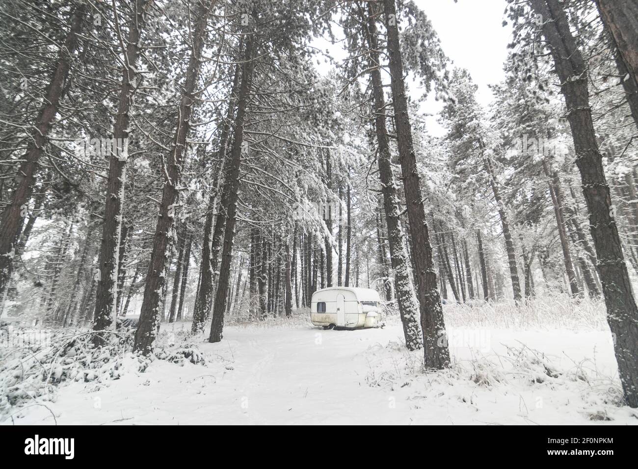 Camper van in pine forest covered with snow at cold winter day Stock ...