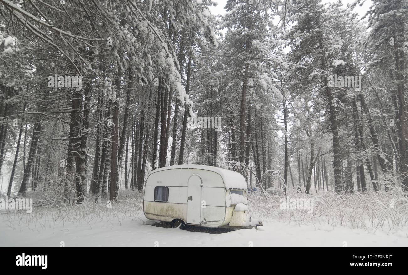 Camper van in pine forest covered with snow at cold winter day. Stock Photo