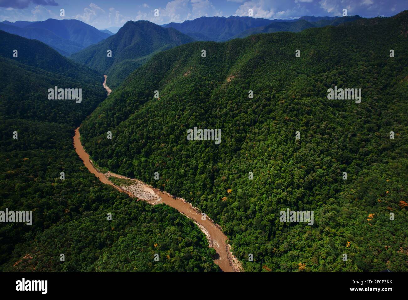 Aerial view of Teak forest and a river near Thailand and Myanmar border. Stock Photo