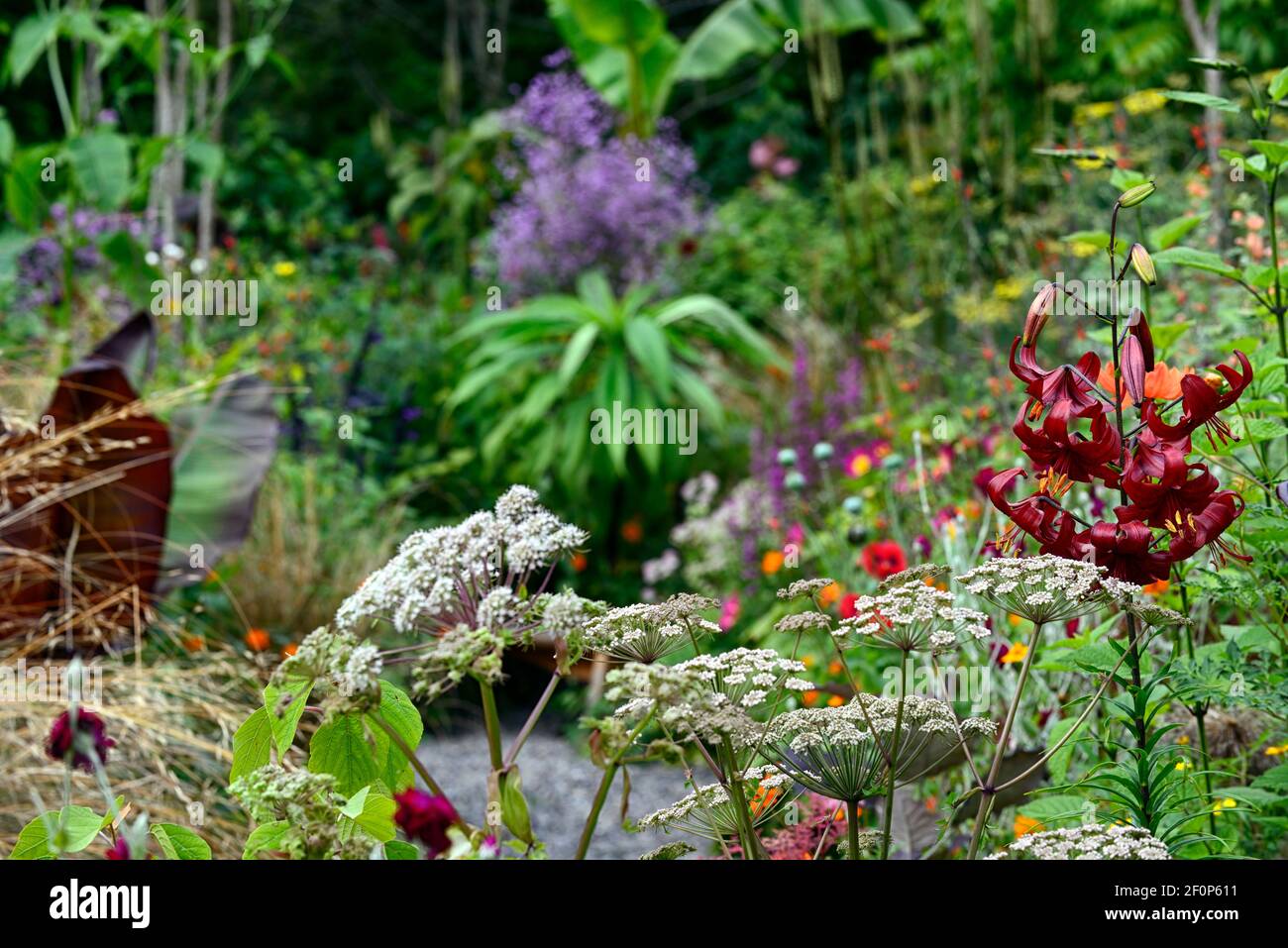 Lily mixe hires stock photography and images Alamy