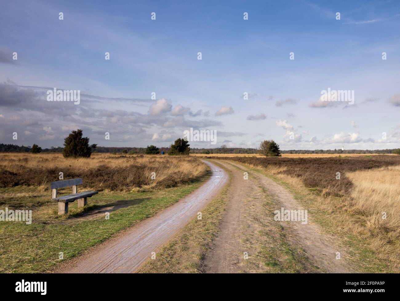 Empty bench near Someren Stock Photo