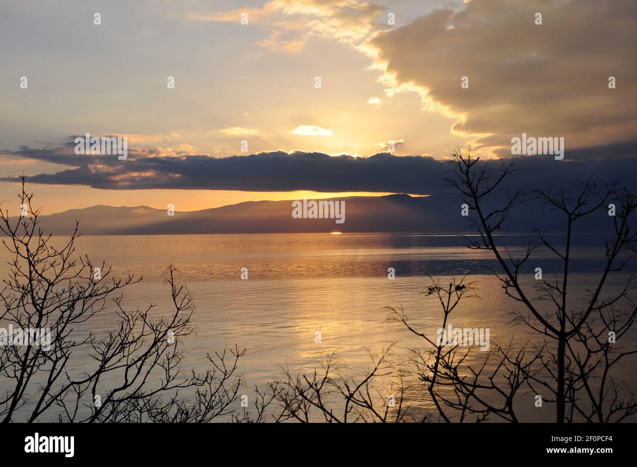 Sunset on Adriatic Sea with branch silhouette and clouds Stock Photo