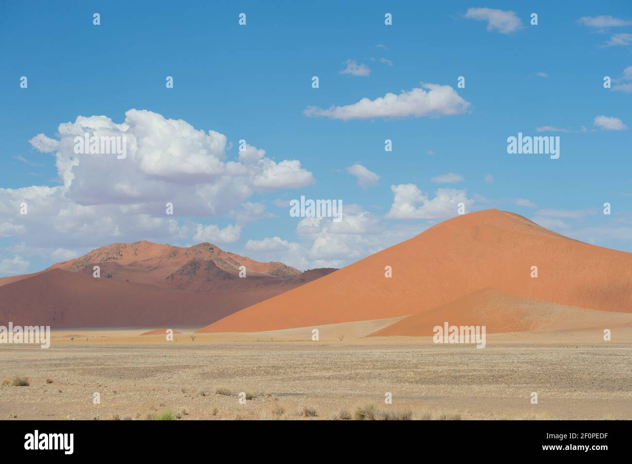 Sossusvlei desert landscape in Namibia Africa red sand dunes with blue sky and white clouds horizontal format room for type open space rule of thirds Stock Photo