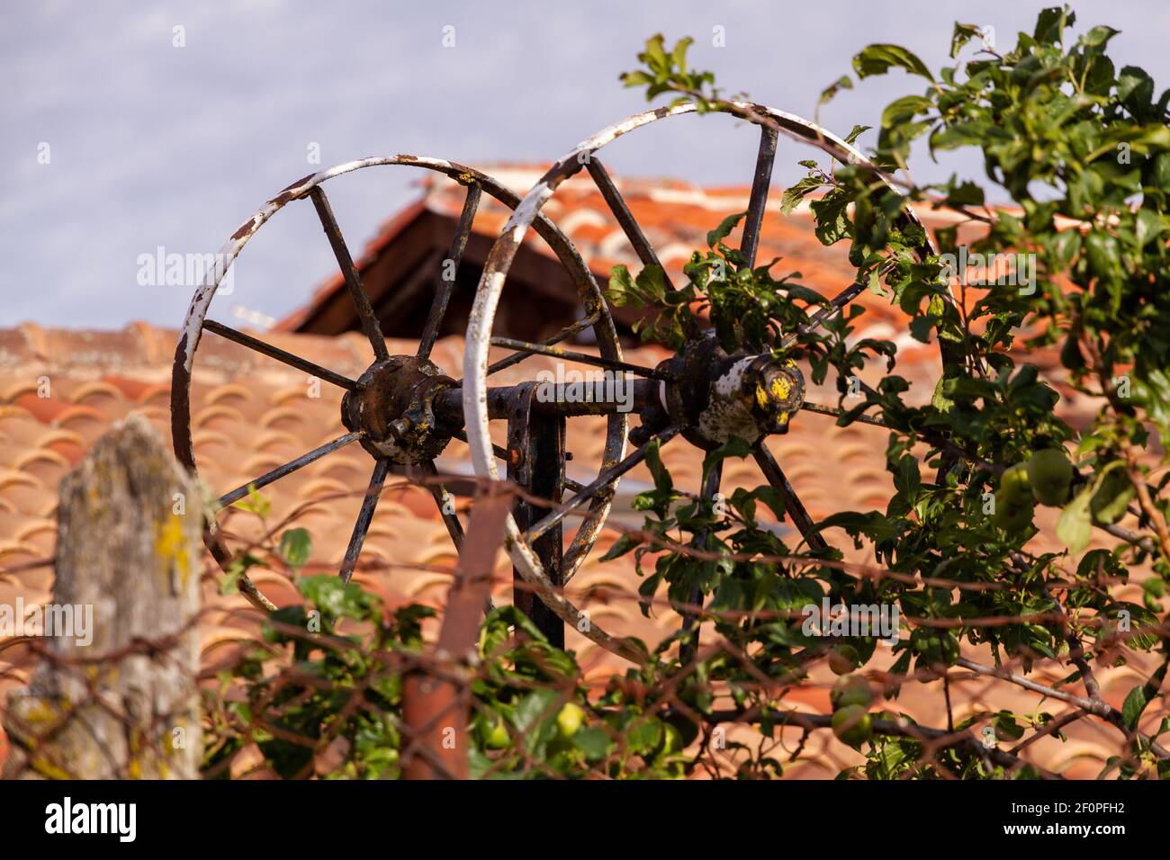 An old rusty metal wheel surrounded by leaves Stock Photo