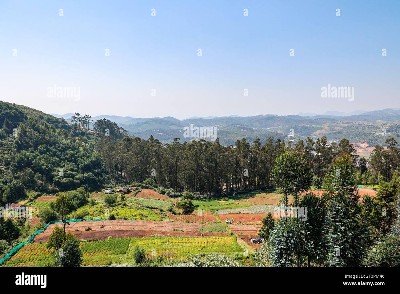 Beautiful lush green landscape on the roadside while driving from Ooty to Coonoor. Stock Photo