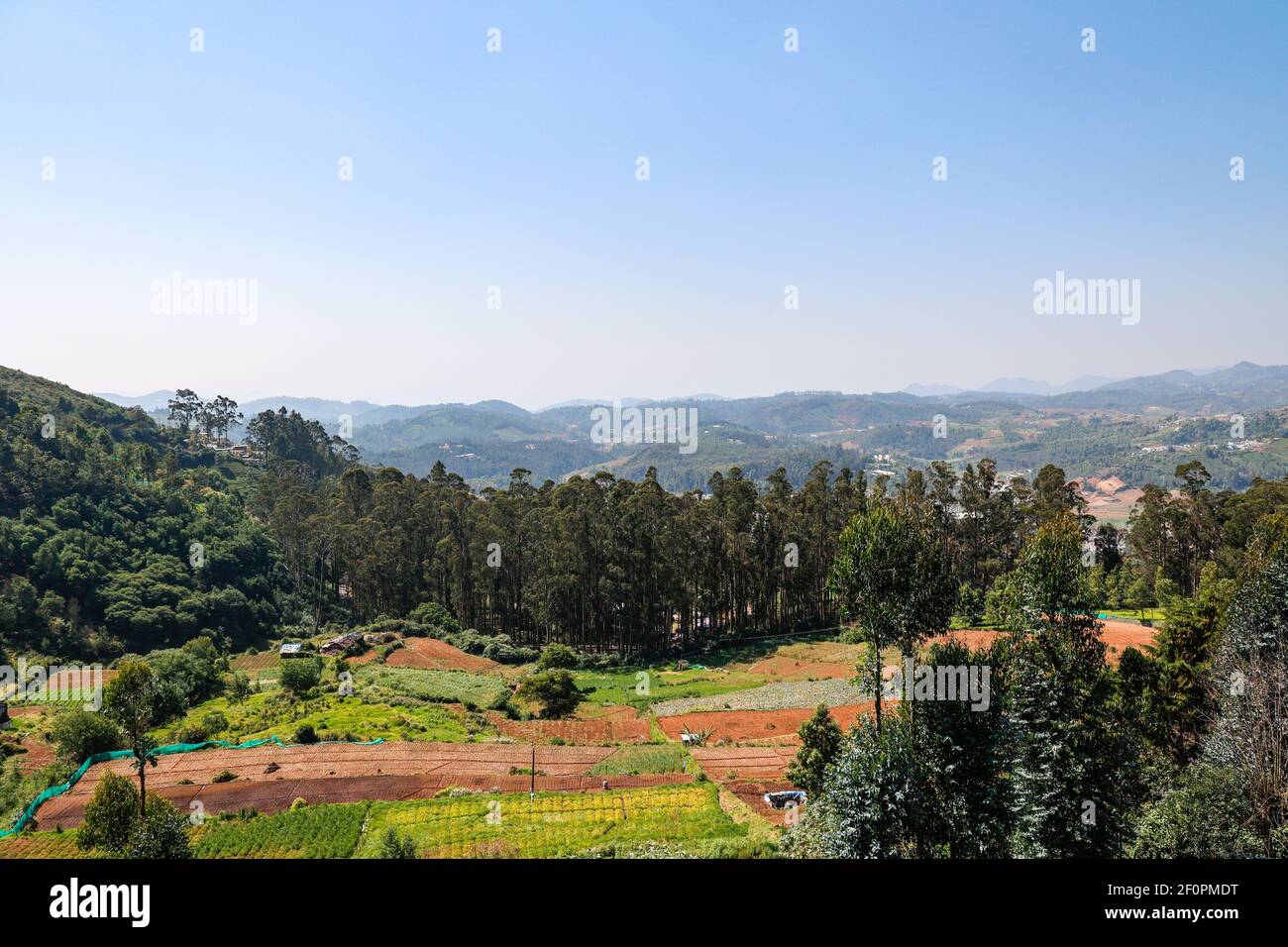 Beautiful lush green landscape on the roadside while driving from Ooty to Coonoor. Stock Photo
