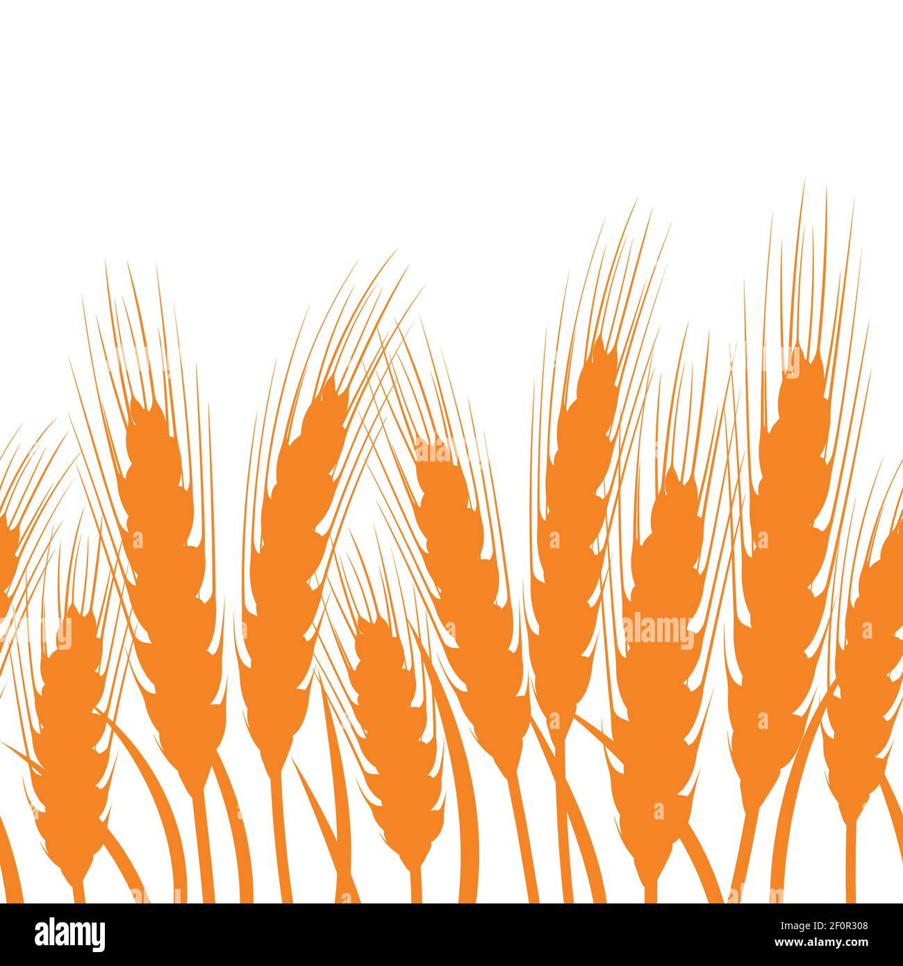 Seamless background with ears of wheat. Vector illustration. Stock Vector