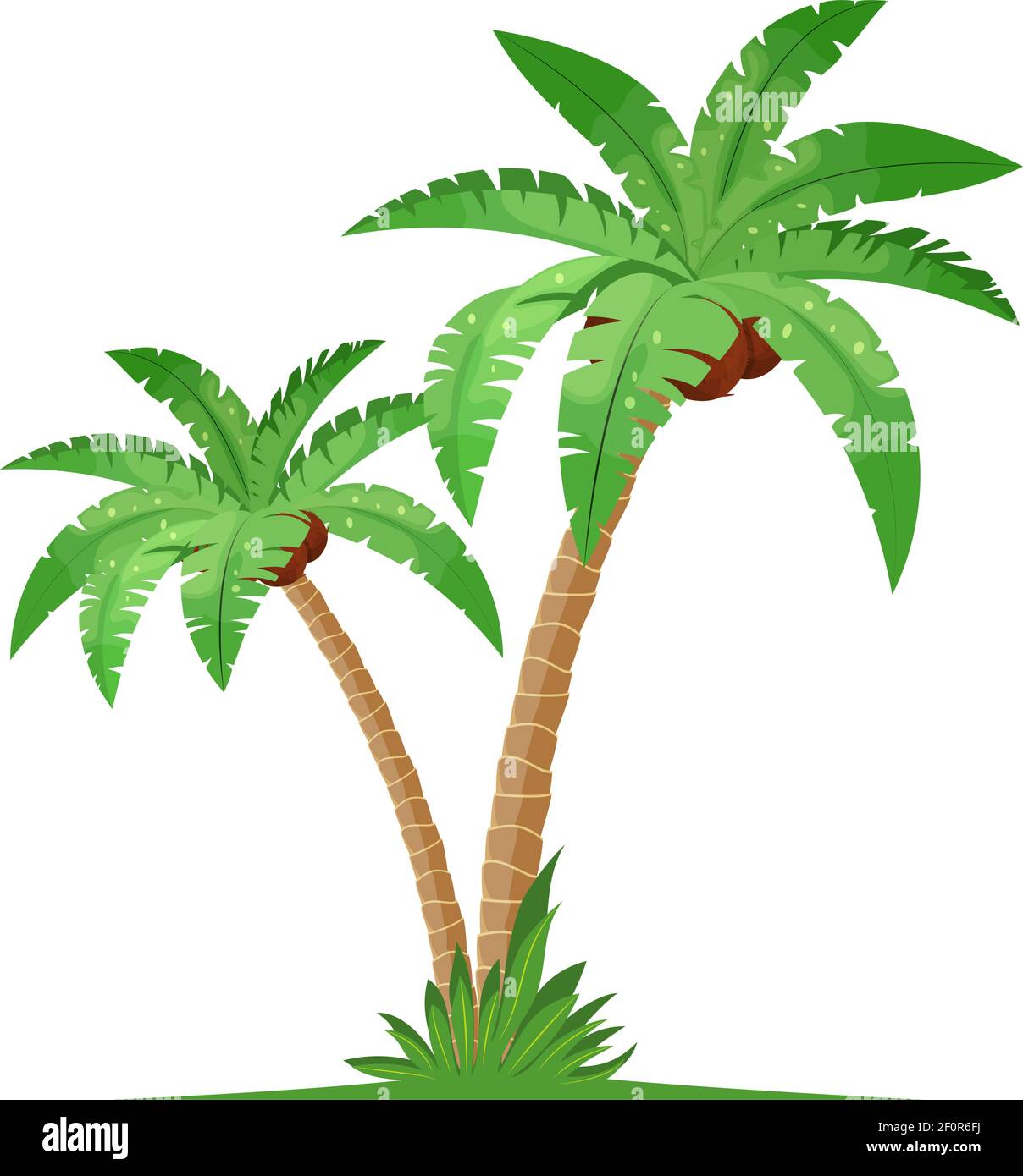 Two coconut palm trees Cut Out Stock Images & Pictures Alamy