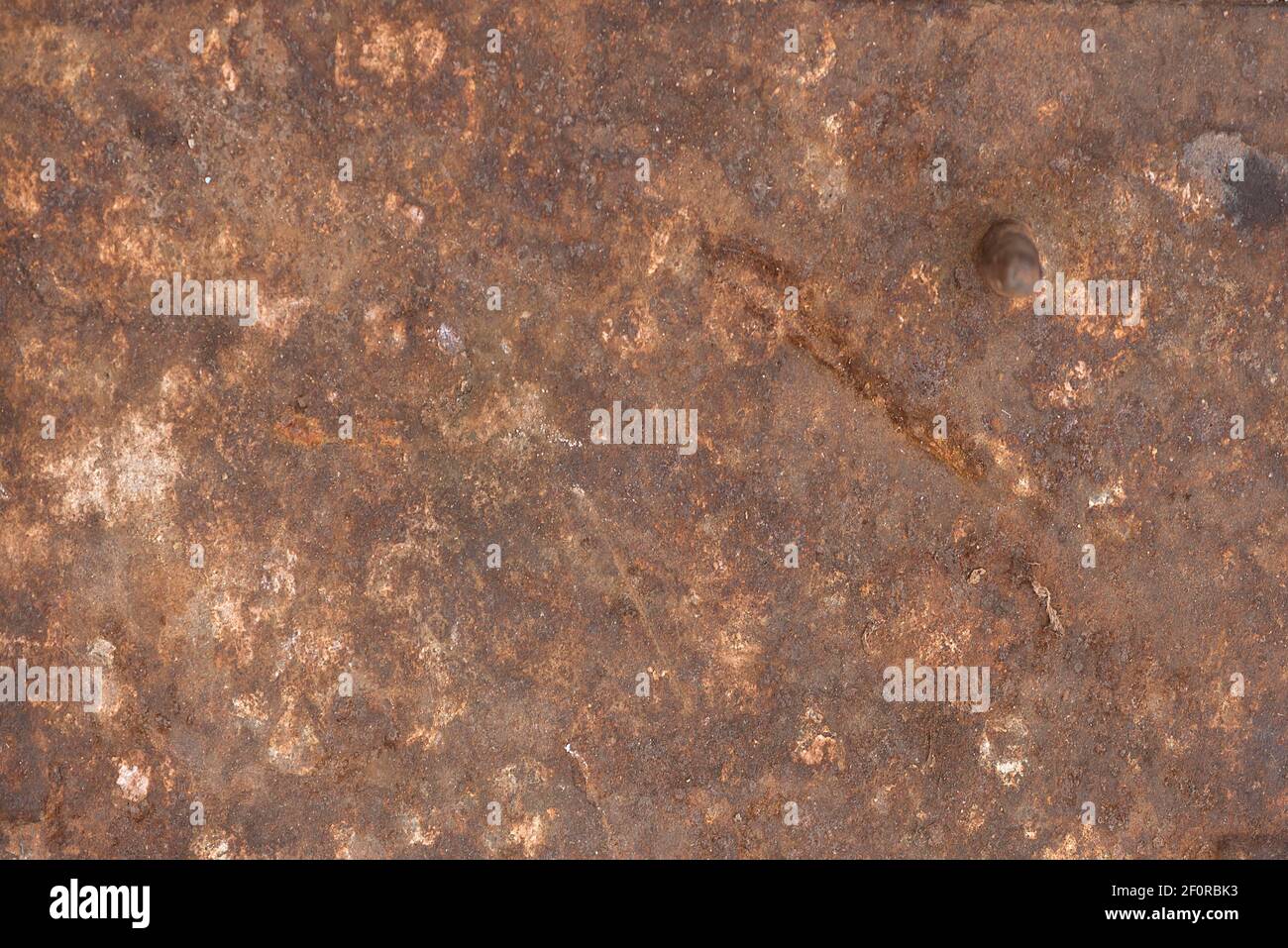 Rusty metal plate, Bavaria, Germany Stock Photo