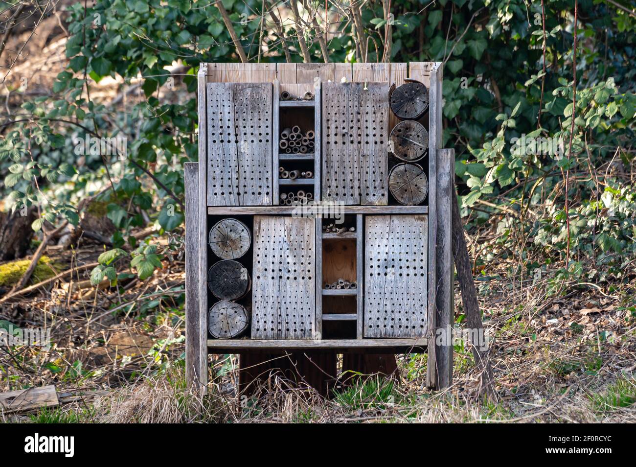 Insect house in the garden. Insect hotel surrounded by plants. Bug hotel in Switzerland. Protection pollinators. Stock Photo