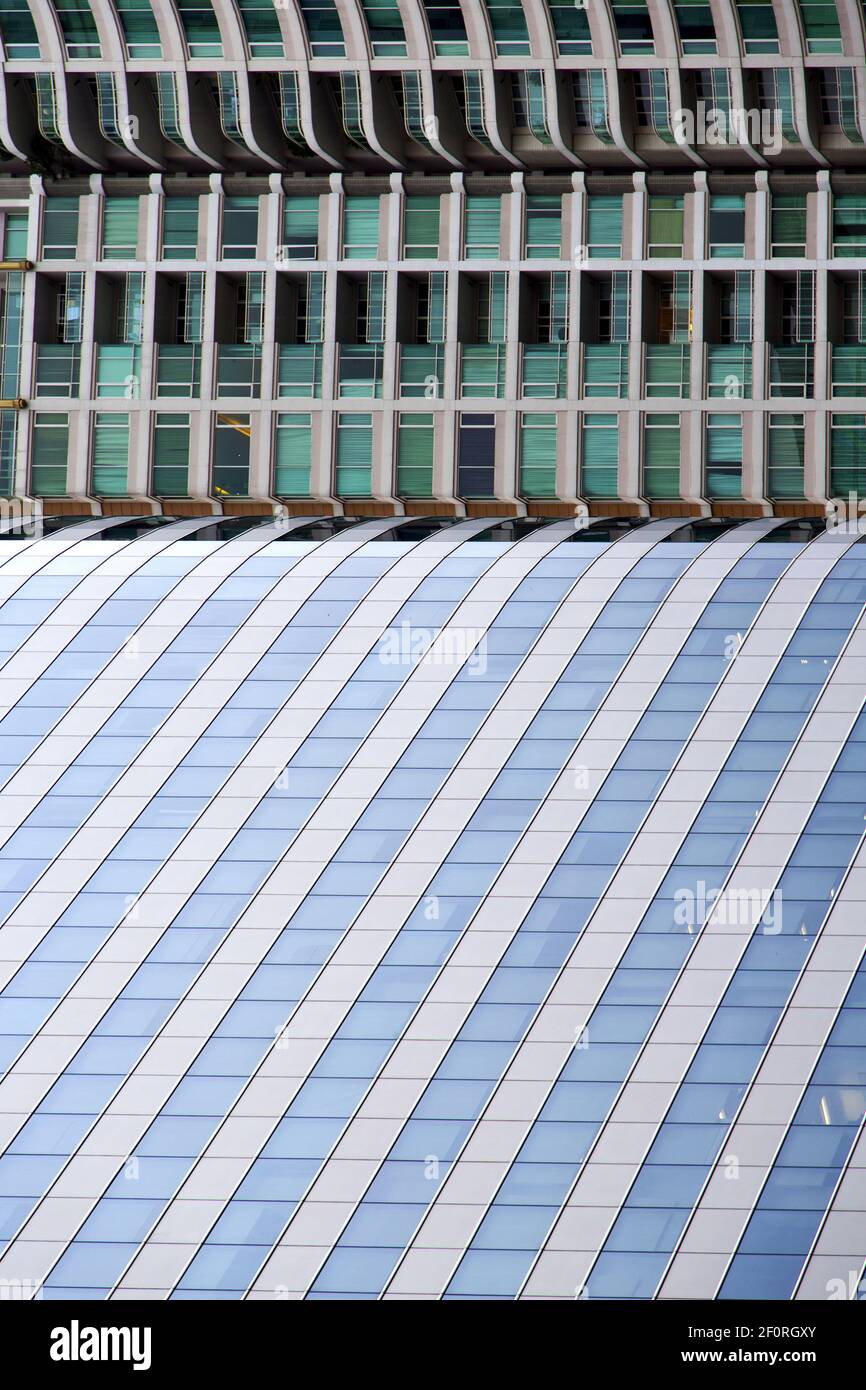 Bangkok thailand reflex of the Stock Photo - Alamy