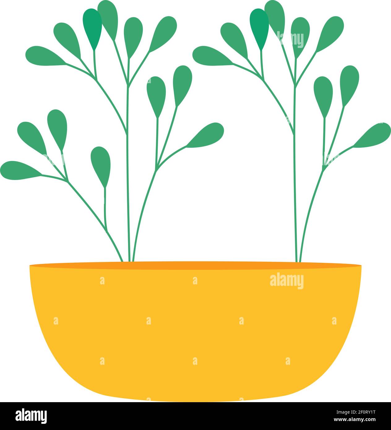 yellow plant pot with plant Stock Vector Image & Art - Alamy