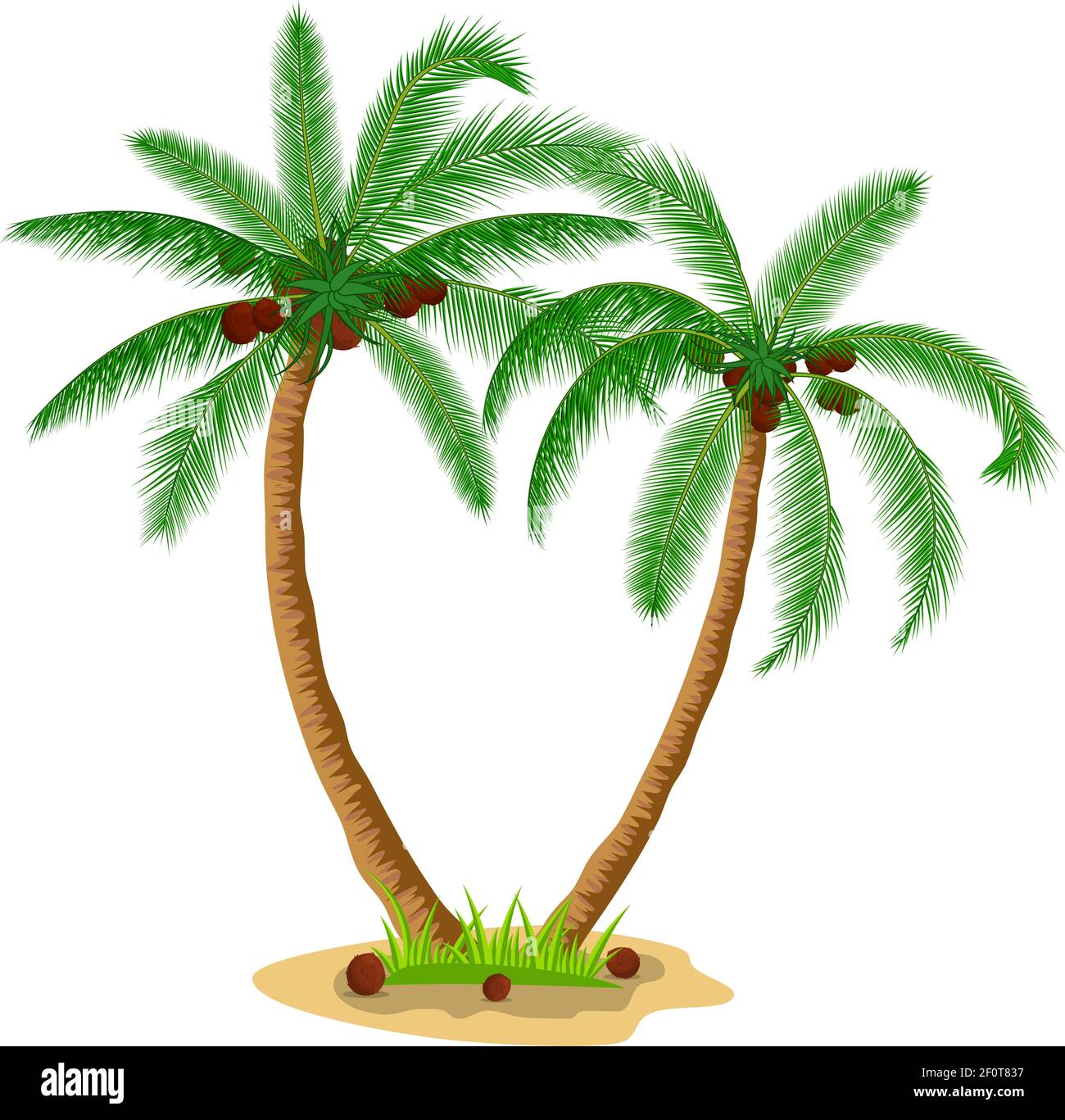 Two coconut palm trees with grass Stock Vector