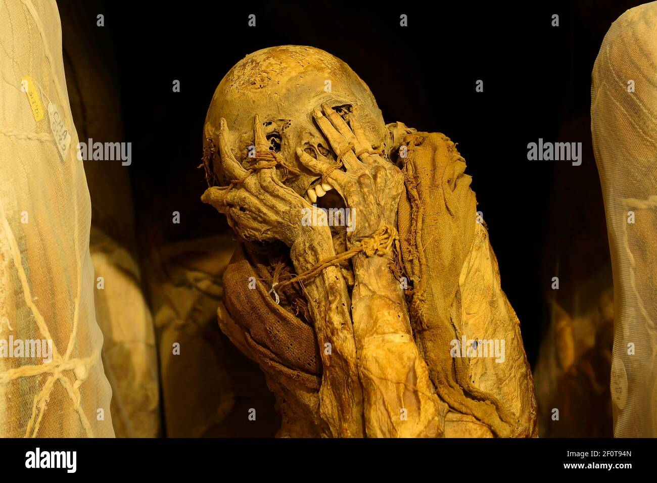 Mummies of the Chachapoya culture in the museum of Leymebamba, province of Chachapoyas, Amazonas region, Peru Stock Photo