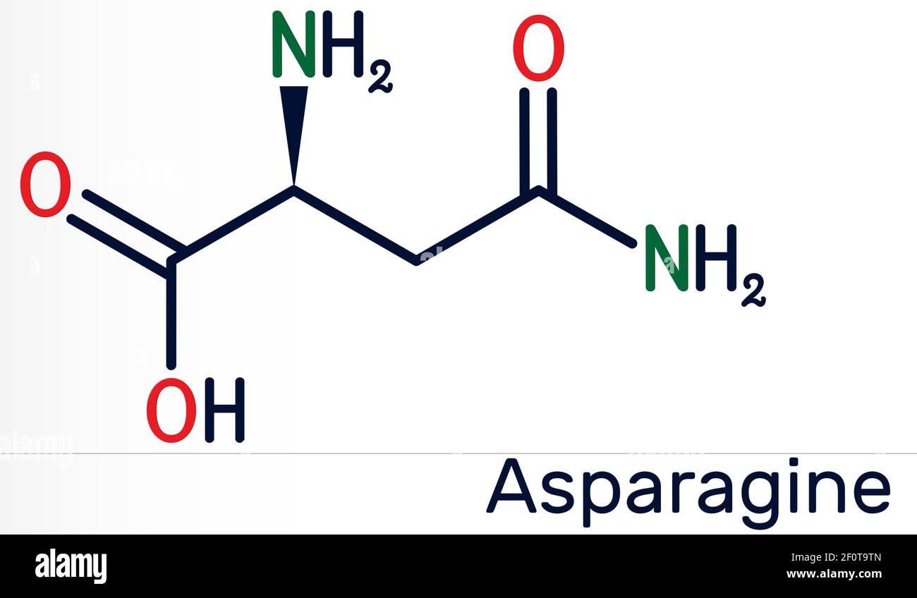Asparagine, L-asparagine, Asn molecule. It is non-essential amino acid, used in the biosynthesis of proteins.  Skeletal chemical formula. Illustration Stock Photo