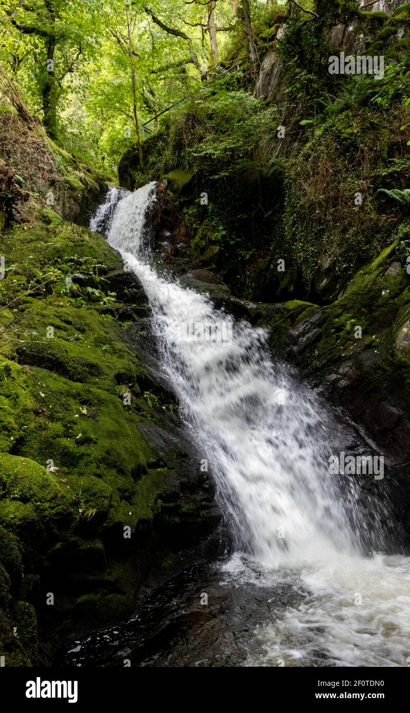 Waterfall of Dolgoch Stock Photo - Alamy