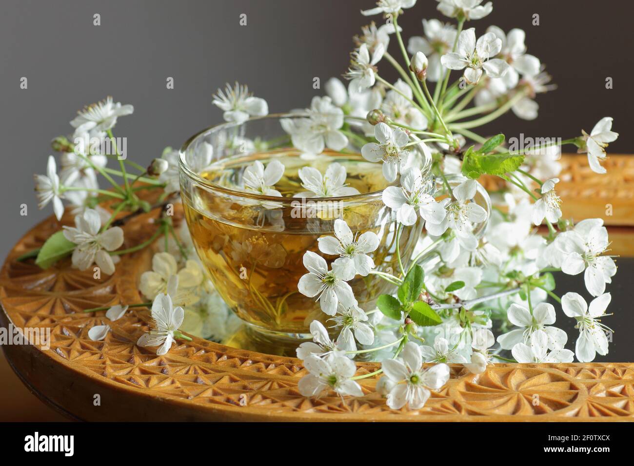 Cherry blossom tea in a glass cup with blooming floral branches nearby, healthy herbal drink is good for skin and heart, rich of antioxidants and esse Stock Photo