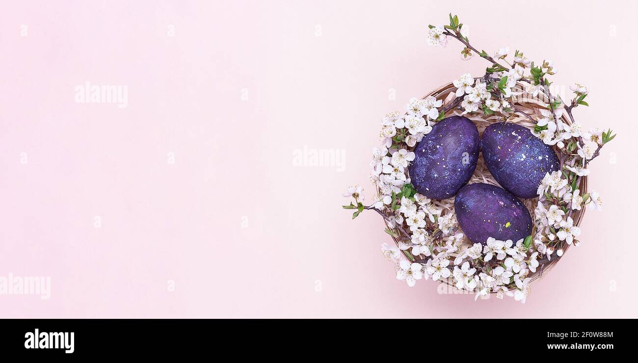 Violet easter eggs in a basket with flowers on a pink background. Horizontal photograph. Top view Stock Photo