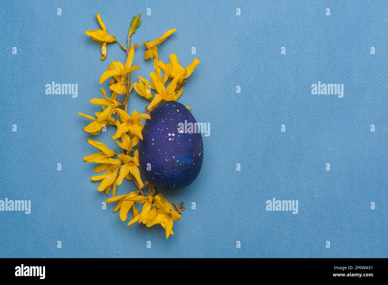 Blue easter egg with yellow flowers on a blue background. Top view. Stock Photo